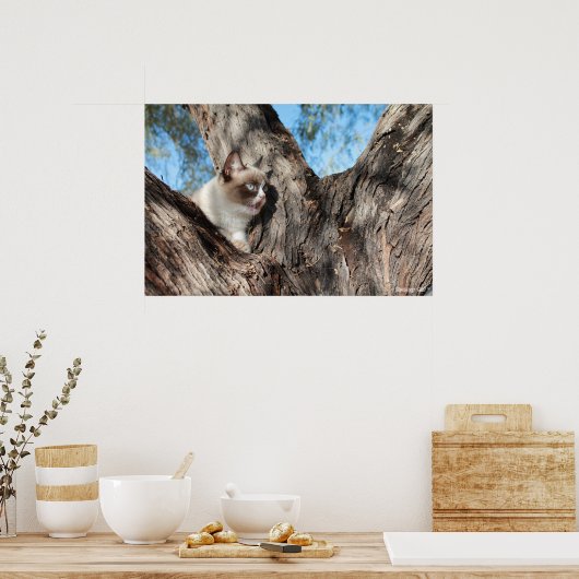 Grumpy Cat™ Meows Poster (Küche)