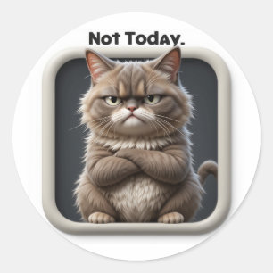 Grumpy Cat "Nicht heute" Bastelaufkleber – Lustige Runder Aufkleber
