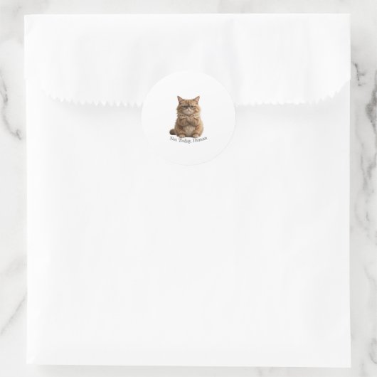 Grumpy Cat "Not Today, Human" Aufkleber Funny Fluf (Tasche)