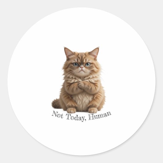 Grumpy Cat "Not Today, Human" Aufkleber Funny Fluf (Vorderseite)