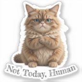 Grumpy Cat "Not Today, human" Funny Pet Meme Aufkleber (Vorderseite)