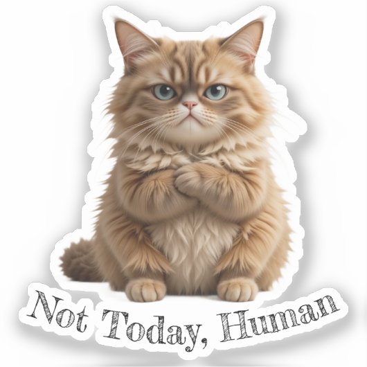 Grumpy Cat "Not Today, human" Funny Pet Meme Aufkleber (Vorderseite)