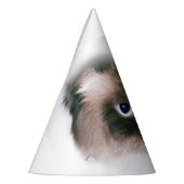 Grumpy Cat Partyhütchen (Links)