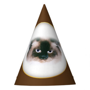 Grumpy Cat Partyhütchen