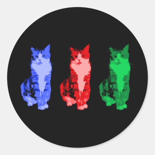 Grumpy Cat Pop Sticker (Vorderseite)