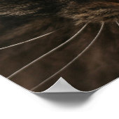 Grumpy Cat Poster (Ecke)