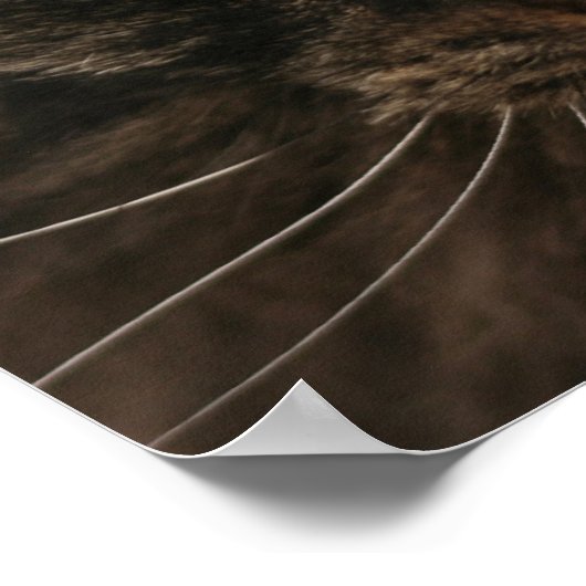 Grumpy Cat Poster (Ecke)