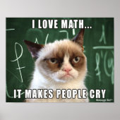 Grumpy Cat Poster - I Liebe Mathematik macht Leute (Vorne)