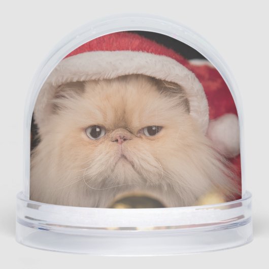 Grumpy Cat Santa Merry Christmas Schneekugeln (Vorderseite)