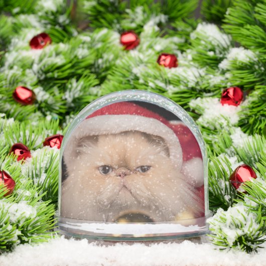 Grumpy Cat Santa Merry Christmas Schneekugeln (Weihnachten)