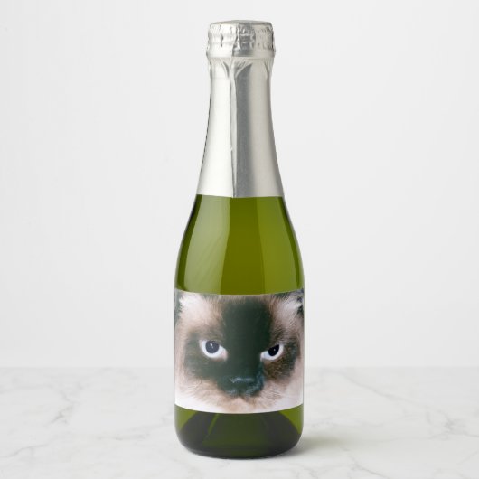 Grumpy Cat Schaumweinetikett (Vorderseite)