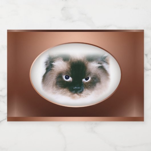 Grumpy Cat Schaumweinetikett (Einzelnes Label)