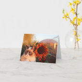 Grumpy Cat Sonnenblumen Mitteilungskarten (Gelbe Blume)
