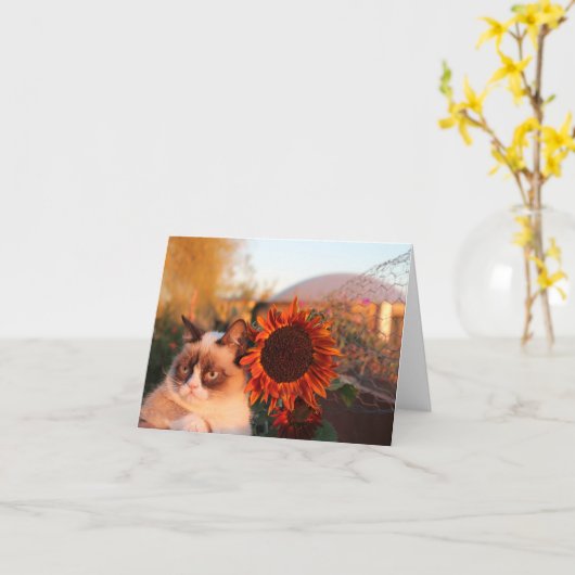 Grumpy Cat Sonnenblumen Mitteilungskarten (Gelbe Blume)