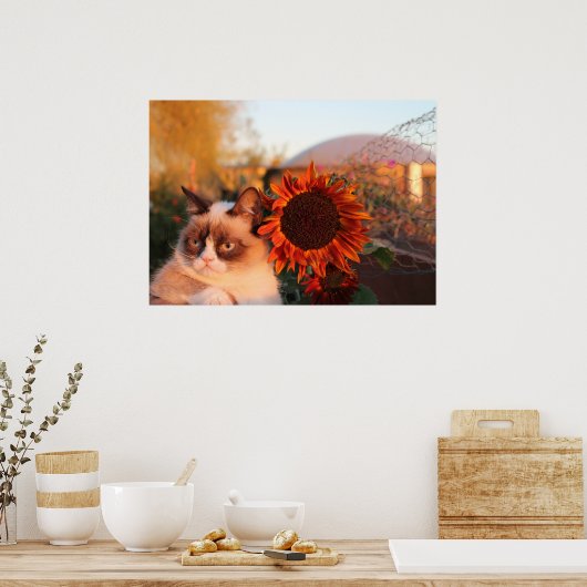 Grumpy Cat Sunflower Poster (Küche)