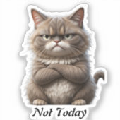 Grumpy Cat Vinyl Sticker - "Not Today" Mood Decal (Vorderseite)