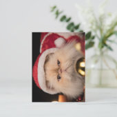 Grumpy Cat Weihnachtsmann Postkarte (Stehend Vorderseite)