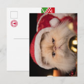 Grumpy Cat Weihnachtsmann Postkarte (Vorne/Hinten)