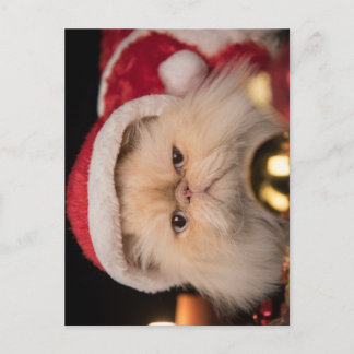 Grumpy Cat Weihnachtsmann Postkarte