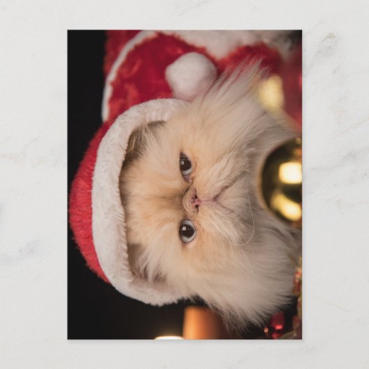 Grumpy Cat Weihnachtsmann Postkarte (Vorderseite)