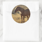 Grumpy Chestnut Runder Aufkleber (Tasche)