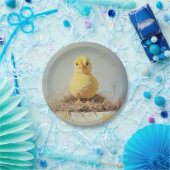 Grumpy Chick in Nest Pappteller (Party)