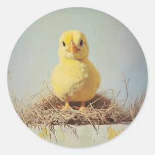 Grumpy Chick in Nest Runder Aufkleber
