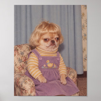 Grumpy Chihuahuas Retro Picture Day Porträt Poster