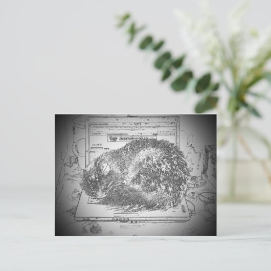 Grumpy Engel auf einer Laptop Lap Katze? Postkarte (Stehend Vorderseite)