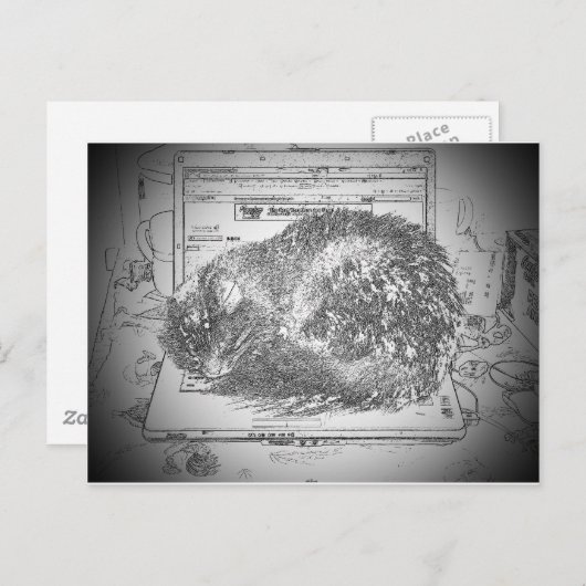 Grumpy Engel auf einer Laptop Lap Katze? Postkarte (Vorne/Hinten)