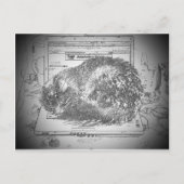 Grumpy Engel auf einer Laptop Lap Katze? Postkarte (Vorderseite)