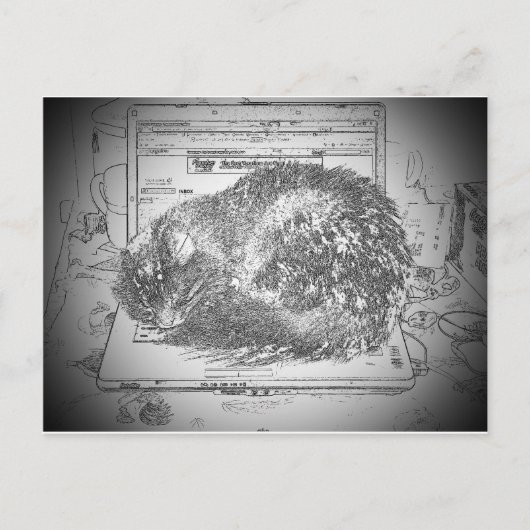 Grumpy Engel auf einer Laptop Lap Katze? Postkarte (Vorderseite)