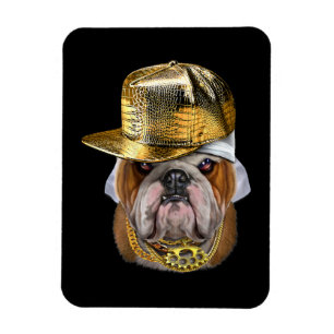 Grumpy English Bulldog mit Hip Hop Rapper Magnet