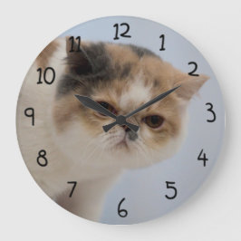 Grumpy Face Cat Große Wanduhr