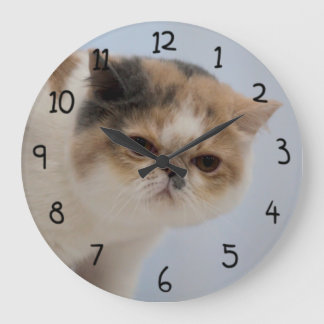 Grumpy Face Cat Große Wanduhr