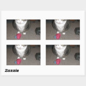 Grumpy Fat Cat ist nicht amüsiert Rechteckiger Aufkleber (Blatt)