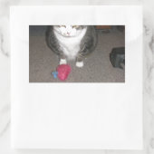 Grumpy Fat Cat ist nicht amüsiert Rechteckiger Aufkleber (Tasche)