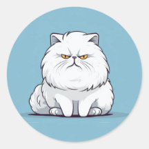 Grumpy Fat White Cat auf blauem Hintergrund