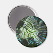 Grumpy Fish Magnet (Vorderseite/Rückseite)