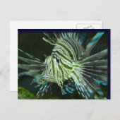 Grumpy Fish Postkarte (Vorne/Hinten)