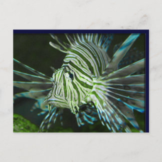 Grumpy Fish Postkarte