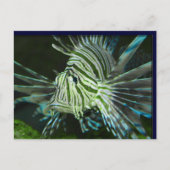 Grumpy Fish Postkarte (Vorderseite)