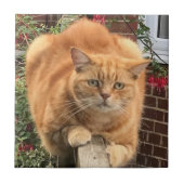 Grumpy Ginger Cat Fliese (Vorderseite)