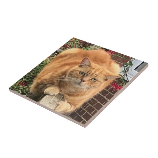 Grumpy Ginger Cat Fliese (Seite)