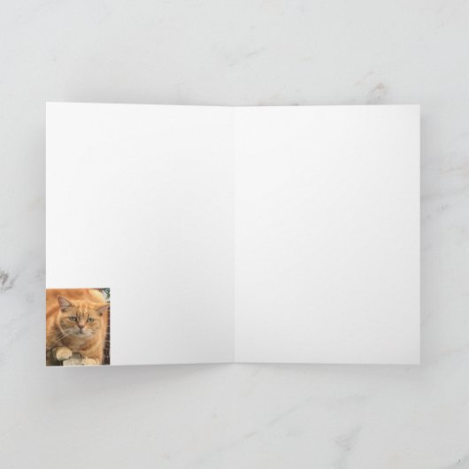 Grumpy Ginger Cat Karte (Innenseite)