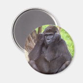 Grumpy Gorilla Magnet (Vorderseite/Rückseite)