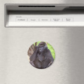 Grumpy Gorilla Magnet (In Situ (Geschirrspüler))