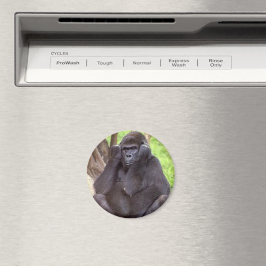 Grumpy Gorilla Magnet (In Situ (Geschirrspüler))