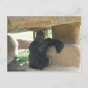 Grumpy Gorilla Postkarte