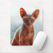 Grumpy Hairless Sphynx Cat Mousepad (Mit Mouse)